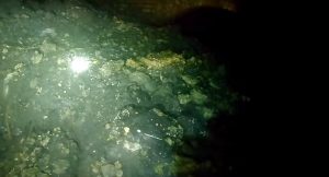 فاضلاب انگلیس