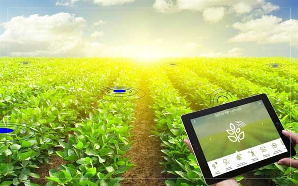 مزارع هوشمند با هوش مصنوعی