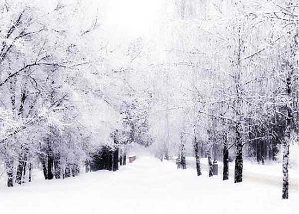 سرما و صرفه جویی