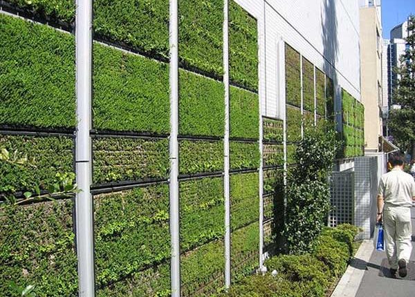 سطوح سبز قم