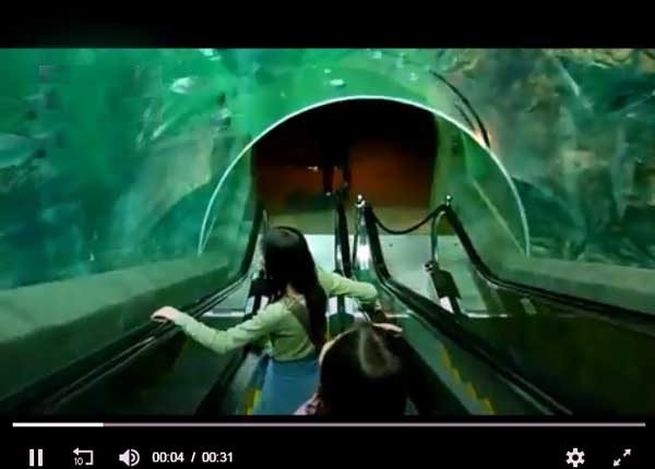 آکواریم اقیانوسی شانگهای