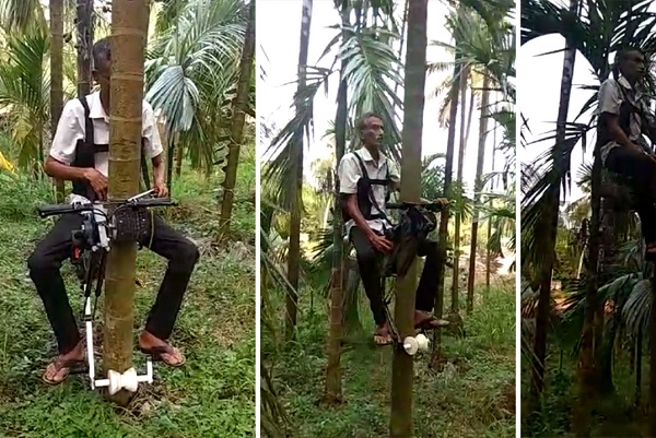 ساخت آسانسور برای درخت توسط مزرعه دار خلاق هندی