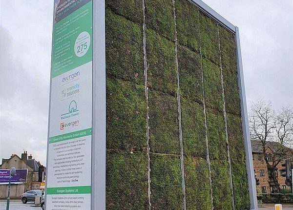 مبارزه با آلودگی هوا با باغ‌های عمودی