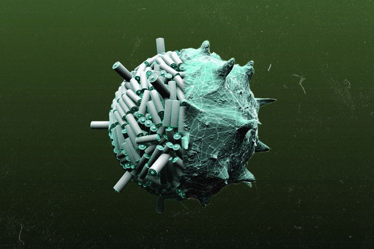 ‌‌ویروس؛ ابزاری بیولوژیک برای ساخت نسل آینده باتری‌ جهان