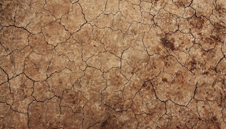 «بی آبی» گریبان دام های خوزستان را هم گرفت