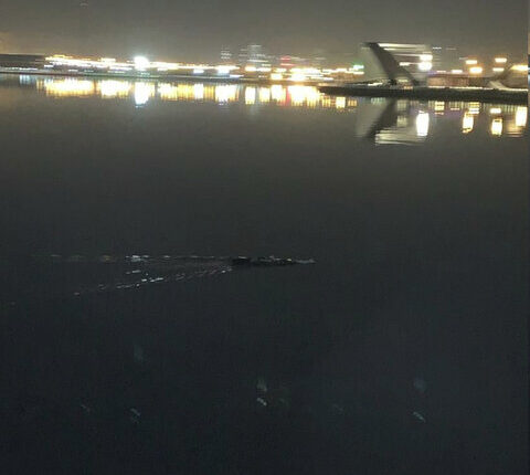 اجرای مانور آتش‌سوزی در بوستان جنگلی چیتگر