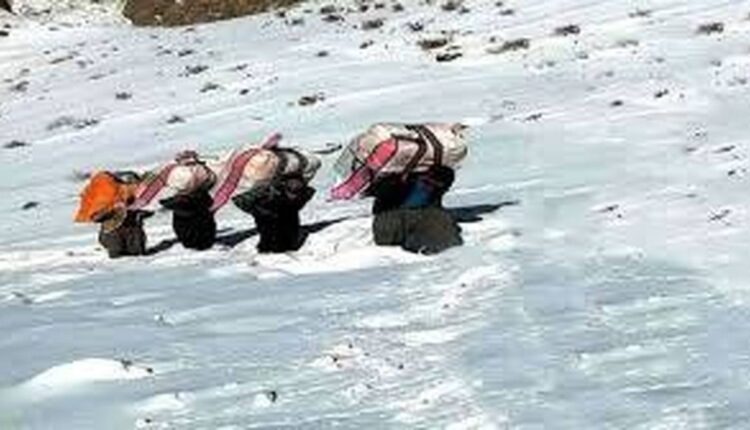 هدیه هزینه جشن روز مهندس را به کولبران کردستانی