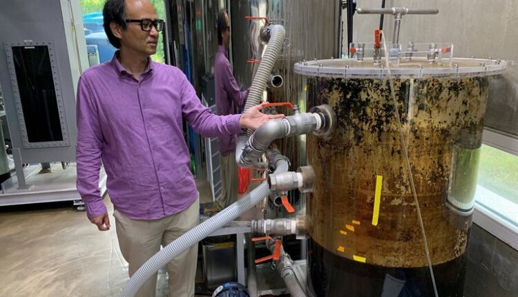 این توالت ارز دیجیتال و انرژی تولید می کند!