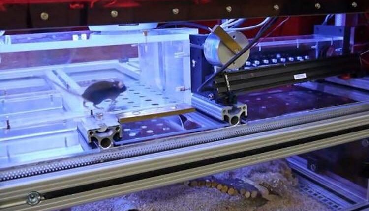 افتتاح بزرگترین آزمایشگاه روشنایی