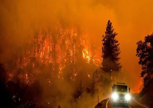 آتشی که به دل ثروت ملی می افتد