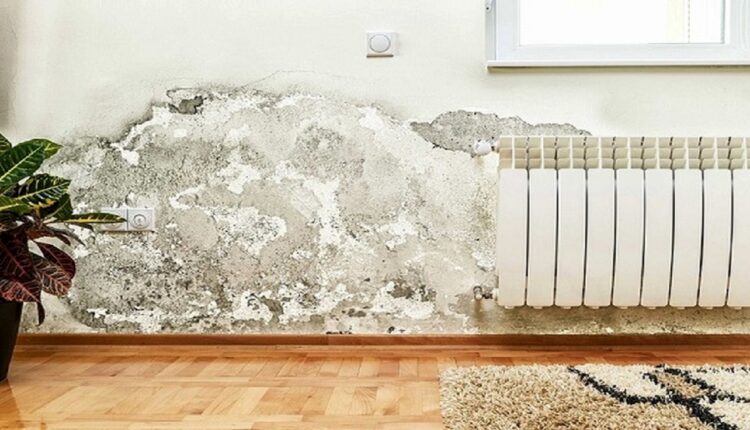 اگر دیوار خانه شما هم رطوبت زده است بخوانید