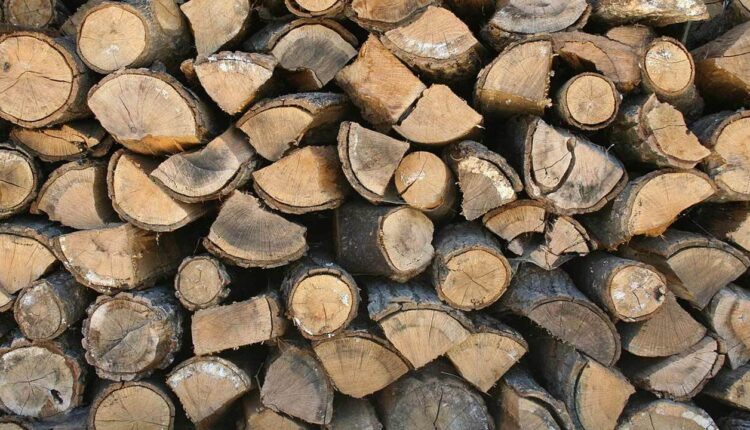 هیزم جایگزین سوخت در ونزوئلا شد