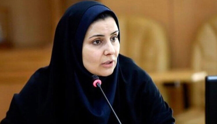 تحلیل واکنش‌ها به سفر وزیر راه